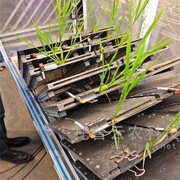 高通量植物根系表型采集分析系統(tǒng)（根盒式）